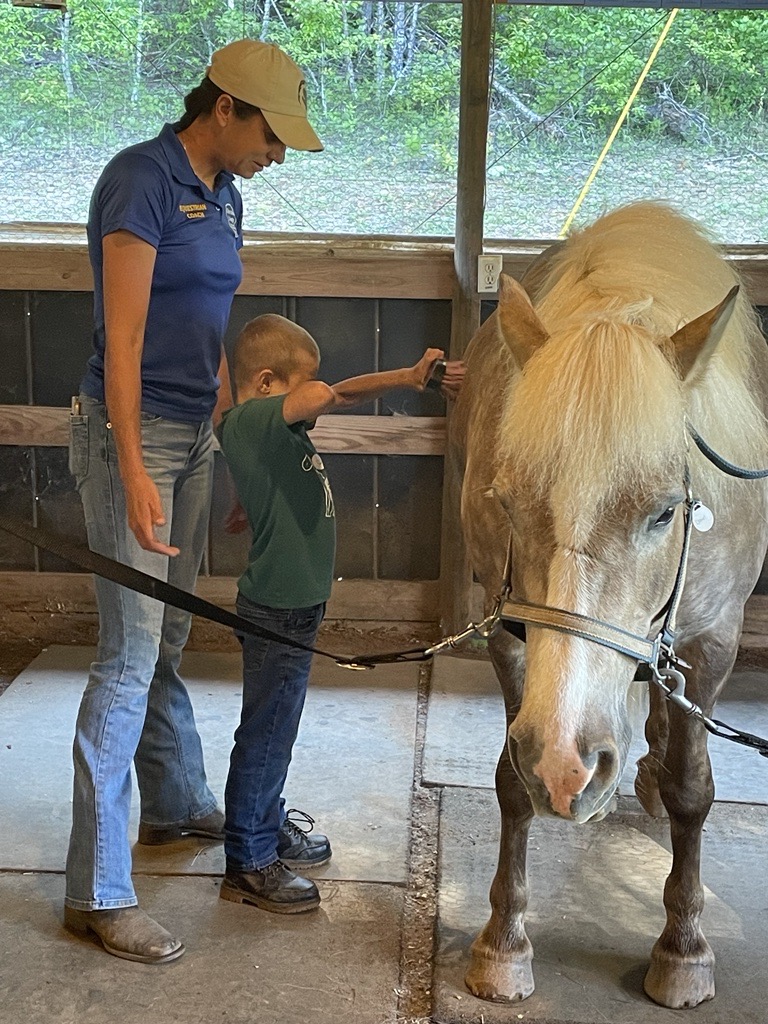 High Lonesome Therapeutic Riding Center participant curries a pony
