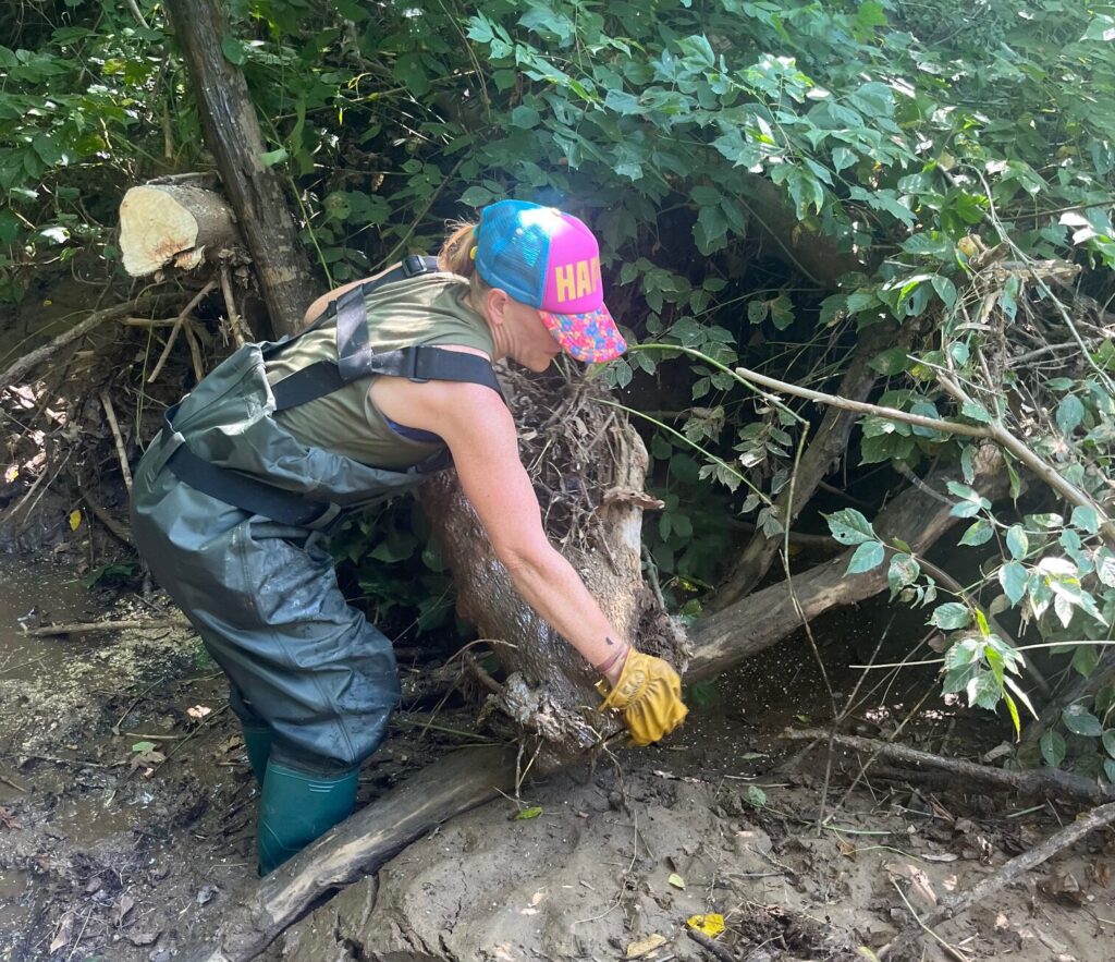 Mandy Freeland, a CVCF board member and volunteer leader of CCP, removes debris from the creek.